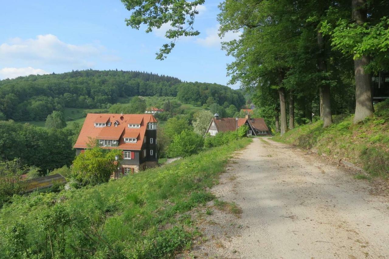 Waldblick Appartement Ober-Hambach المظهر الخارجي الصورة