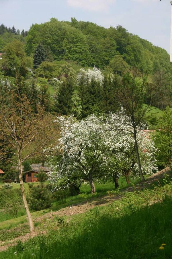 Waldblick Appartement Ober-Hambach المظهر الخارجي الصورة